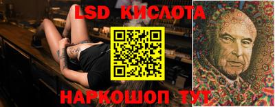 шишки Бийск