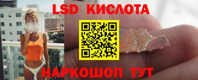 шишки Бийск