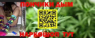 шишки Бийск