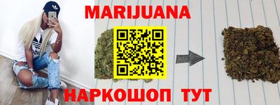 шишки Бийск